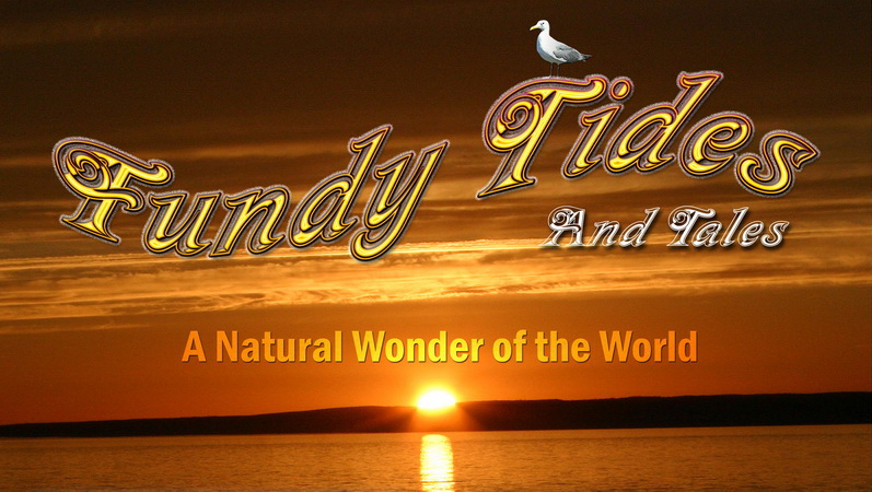 Fundy Tifrd Title