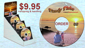 Order DVD
